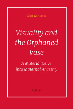    Visuality and the Orphaned Vase